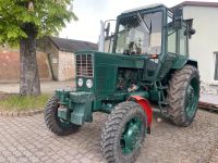 MTS 552,MTS,,Traktor,Belarus,no,MTS 82 Sachsen - Wülknitz Vorschau