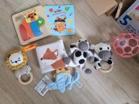 Babyspielsachen Wandsbek - Hamburg Bramfeld Vorschau