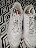 Puma damenschuhe Dortmund - Eving Vorschau