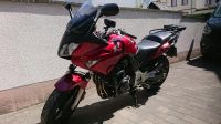 Honda CBF 600 ABS im super Zustand Hessen - Dreieich Vorschau