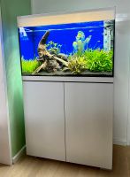 Aquarium Kombination Köln - Ehrenfeld Vorschau