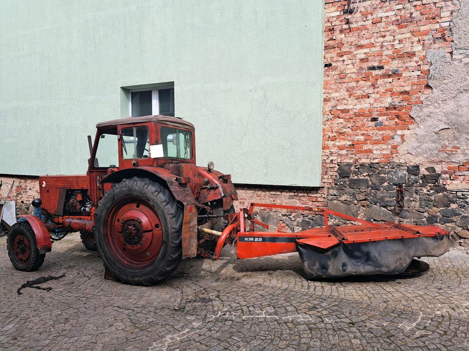 Belarus MTS 50 mit Deutz Mähwerk in Schleiz