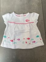 T-Shirt Shirt Oberteil kurzarm babyclub Gr.62 Nordrhein-Westfalen - Hagen Vorschau