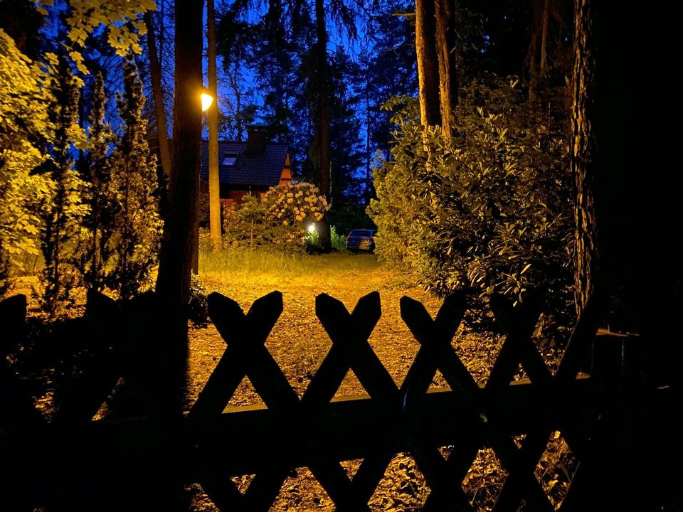 exklusives Ferienhaus im Wald, 120qm, Sauna, Kamin, viel Ruhe in Bad Schmiedeberg