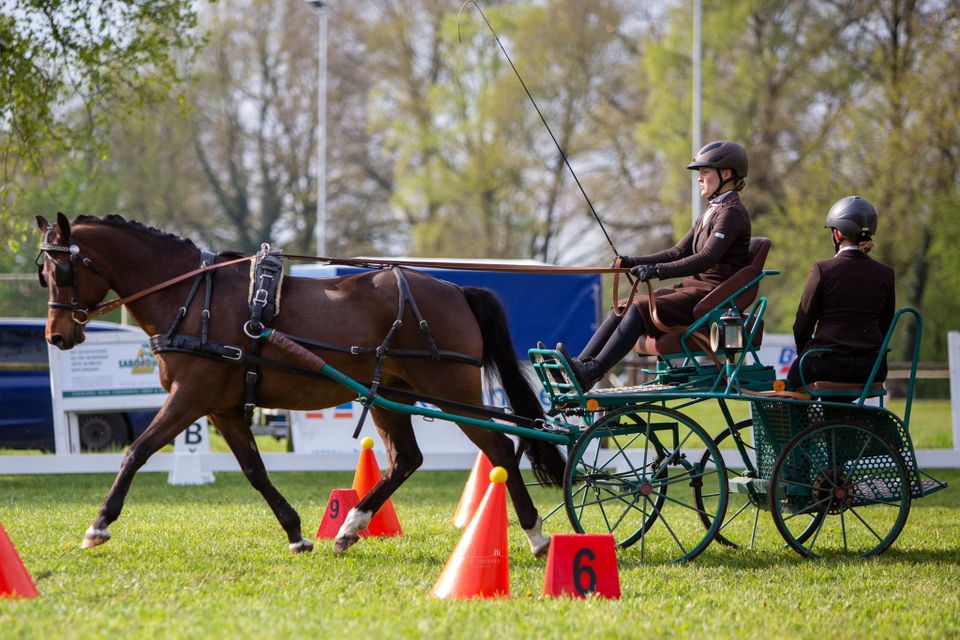 Hansmeier Marathonwagen Einspänner Pony / Kleinpferd in Lilienthal