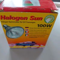 Lucky Reptile Halogen Sun - 100W Bayern - Vohburg an der Donau Vorschau