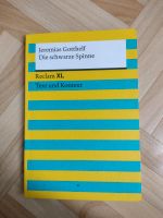 Verschiedene Bücher ( evtl. schulische Themen) Niedersachsen - Großheide Vorschau