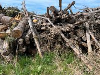 Brennholz Rundholz - zum selber sägen Bayern - Vilsbiburg Vorschau