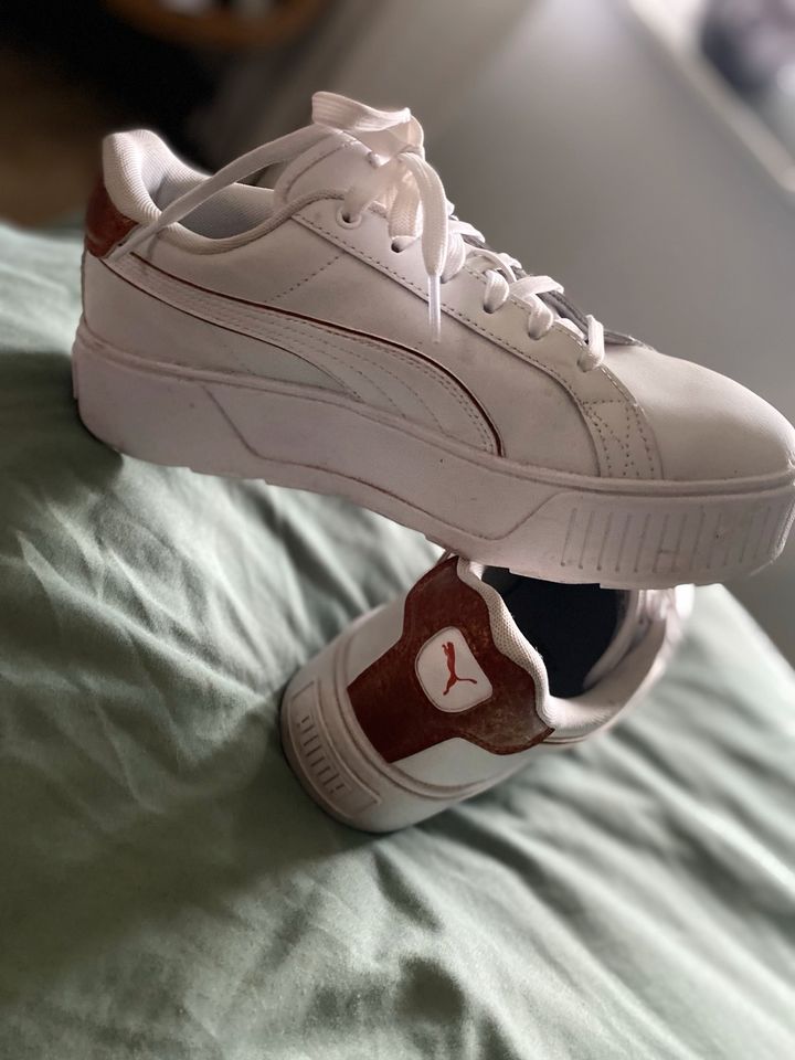 Puma Sneaker in Kelbra (Kyffhäuser) Kelbra