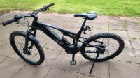 E-Bike Raymon E-Seven Trailray Niedersachsen - Goslar Vorschau