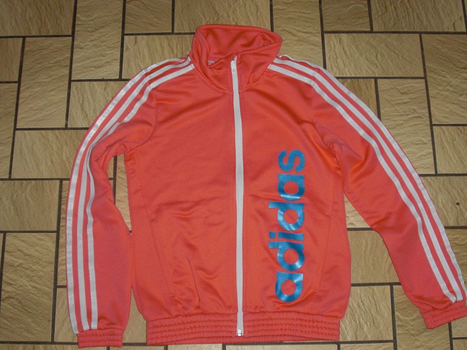 Adidas Trainingsjacke Jacke  Mädchen gr. 152 in Negenborn