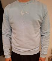 Rundhalspullover XL Nordrhein-Westfalen - Bad Oeynhausen Vorschau