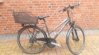 Raleigh Damenrad 28 Zoll Niedersachsen - Hodenhagen Vorschau