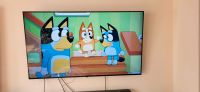 LG 65" NanoCell Fernseher Nordrhein-Westfalen - Meckenheim Vorschau