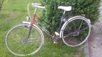 Damen Rad Fahrrad FISCHER DDR retro Rennrad 27er weiss lila pink Sachsen - Chemnitz Vorschau
