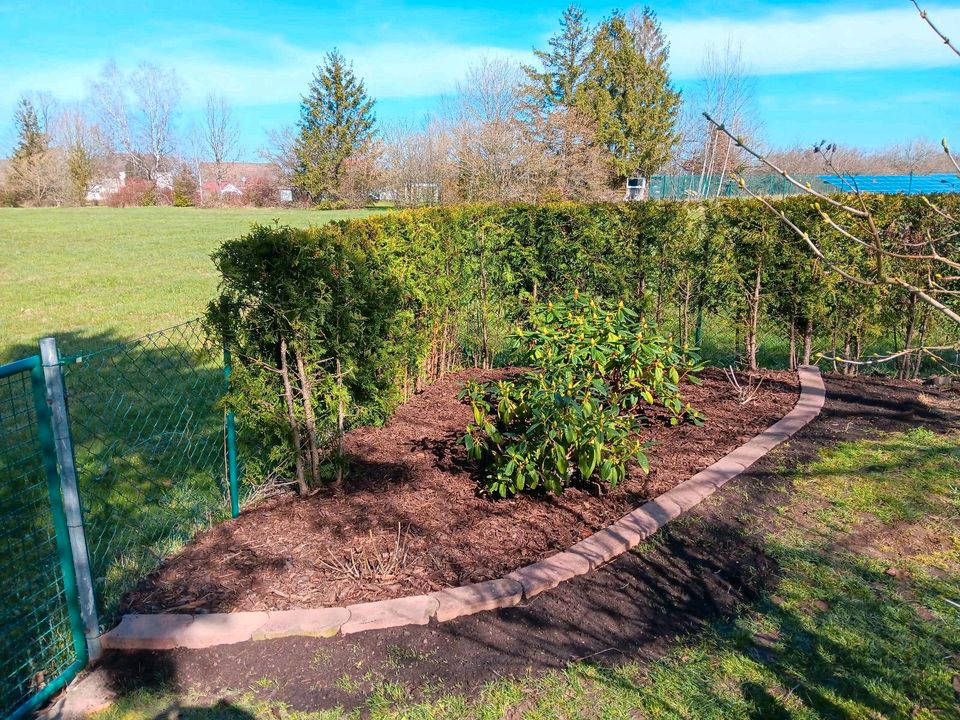 Dienstleistung rund um Haus und Garten Hausmeisterservice in Pirmasens