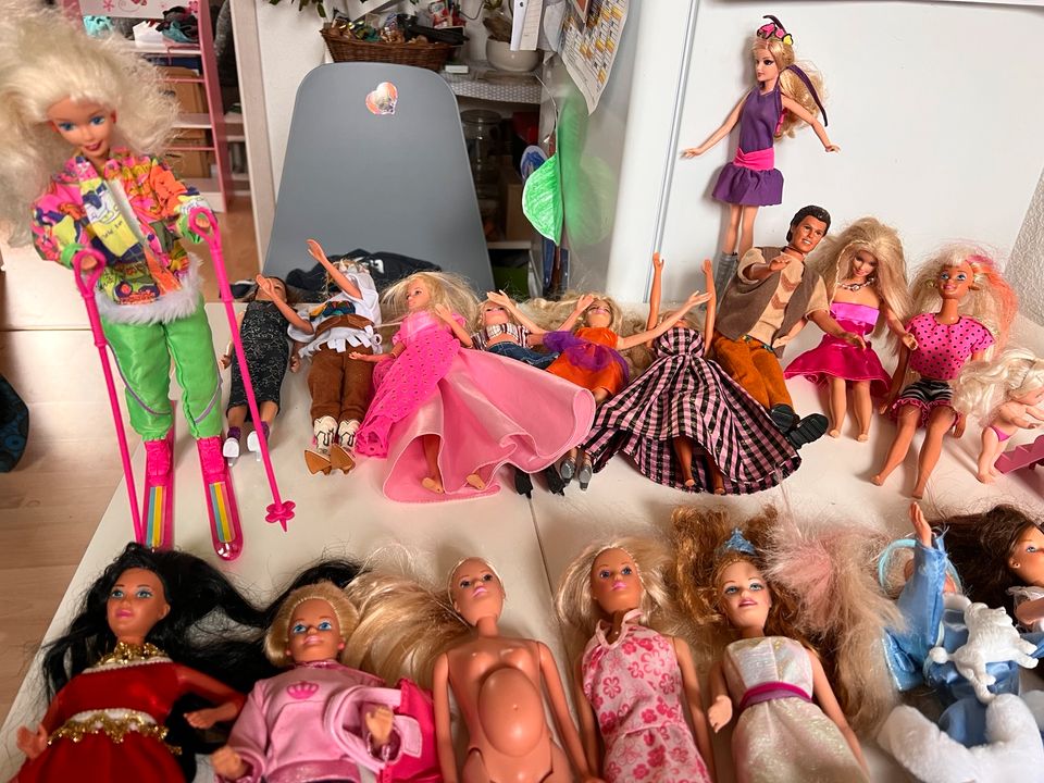 Barbie Sammlung, 20 Barbies + viel Zubehör in Cremlingen