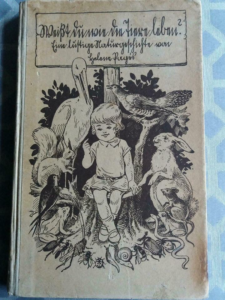 Sehr alt! 1929 Weißt du wie die Tiere leben? H. Pages Boppard in Dauchingen