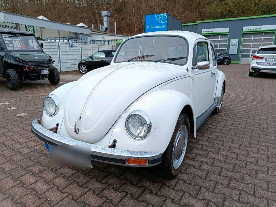 VW Käfer 1200 in Zweibrücken