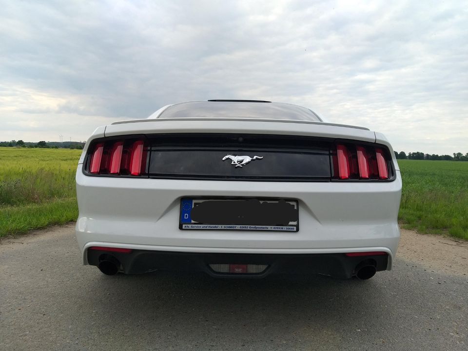 Ford Mustang 2.3 L Eco Fastback Spoiler+19 Zoll Oxy in Elsterwerda
