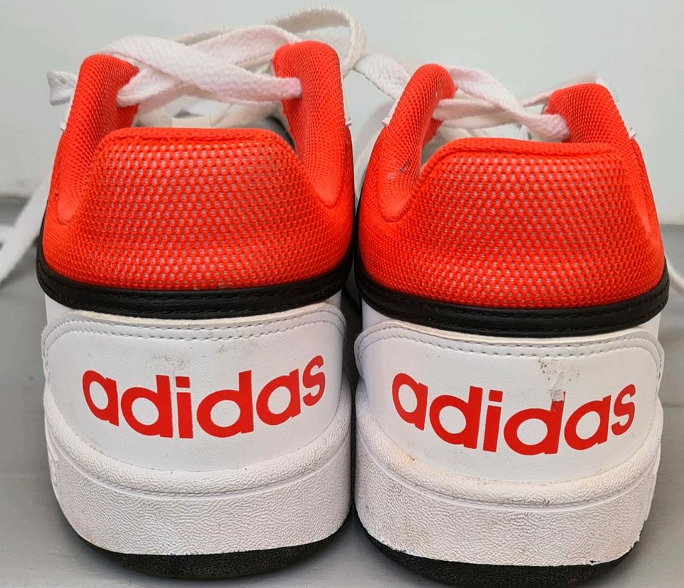 Adidas Turnschuhe sneaker basketball Schuhe weiß gr 37,5 wie neu in Groß-Umstadt