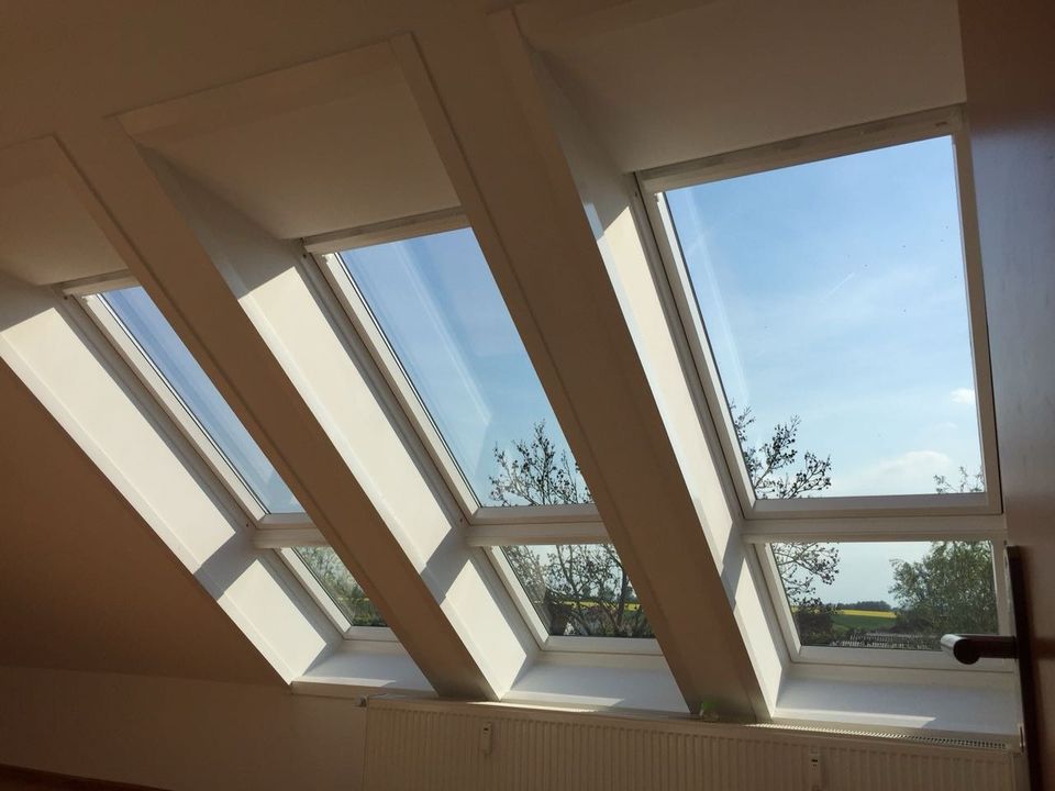 Fensterputzer/Glasreiniger Glasfassadenreinigung professionell ☀️ in Bartenshagen-Parkentin
