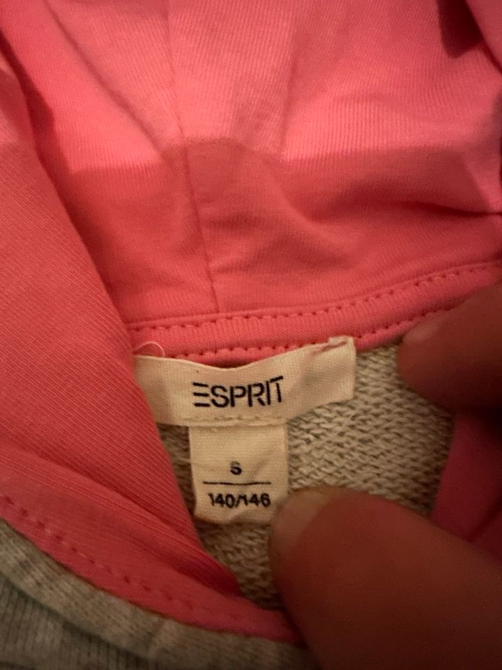 ESPRIT, Sweatshirt mit Kapuze,Gr.140/146 in Bad Wildungen