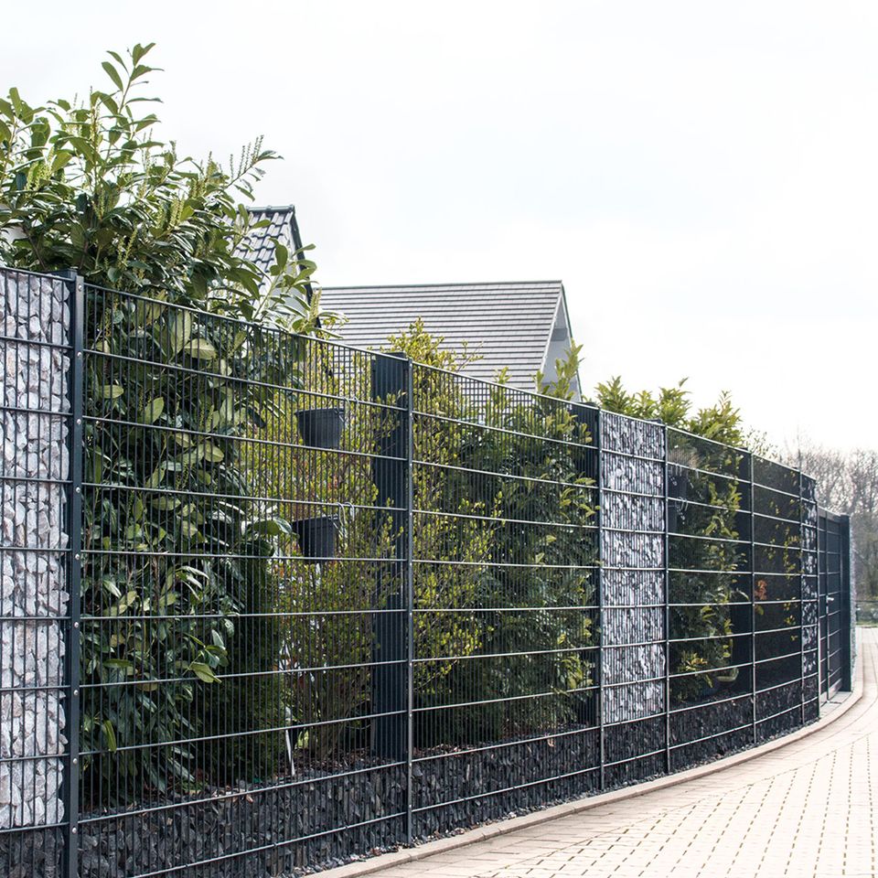 35m Doppelstabmattenzaun 2,03m Gartenzaun Zäune Zaun in Castrop-Rauxel