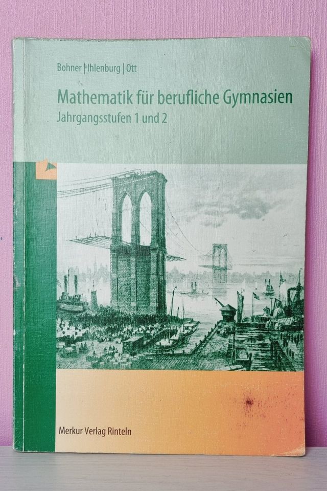 Mathematik für berufliche Gymnasien Jahrgangsstufen 1 und 2 Mathe in Heidelberg
