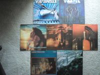 LP Vinyl Schallplatten Konvolut (Amiga,Elektronic,Lizenzausgaben) Berlin - Neukölln Vorschau