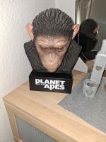 Planet der Affen Affen kopf Dortmund - Eving Vorschau