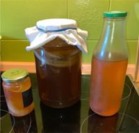 Kombucha Scoby Pilz zu verschenken Bayern - Rosenheim Vorschau