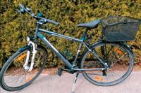 Pegasus Piazza Fahrrad 28 Zoll Herrenfahrrad Baden-Württemberg - Immendingen Vorschau