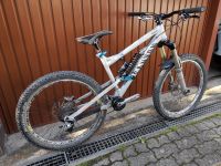 Canyon Torque 8 2011 M Rockshox Totem Code Deemax Mountainbike DH Bayern - Rimpar Vorschau