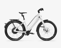 Stromer St2 Pinion moon grey M Comfort 6739€ anstatt 7935€ Niedersachsen - Friesoythe Vorschau