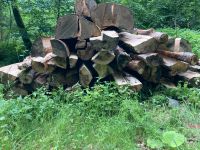 Brennholz Buche 4m grob vorgespalten gute Qualität, ca. 13 Ster Bayern - Kinding Vorschau