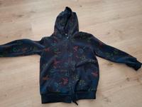 Jacke mit Dinosauriern Gr. 122 Nordrhein-Westfalen - Schwerte Vorschau