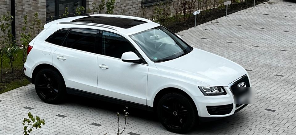 Audi Q5 Quattro 2,0 Tdi Panoramadach in Essen