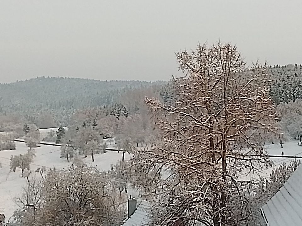 Großes Haus für Familie, Tierhaltung, Hobby, Büro und Gewerbe in Geislingen