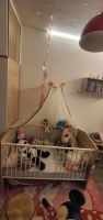Baby Bett mit Matratze und mitwachsend Berlin - Hellersdorf Vorschau