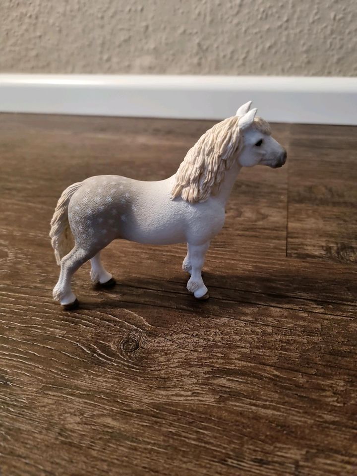 Schleich 13871 Welsh Pony Hengst Wie Neu in Rastede