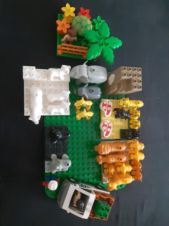 LEGO Duplo Zoo mit zusätzlichen Platten in Heringen (Werra)