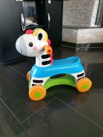 Frisher Price Rutscher Zebra mit Sound Kinder Spielzeug Nordrhein-Westfalen - Pulheim Vorschau