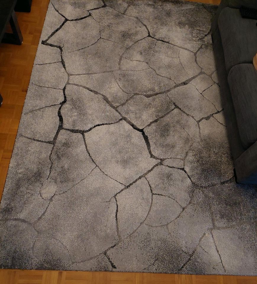 Teppich 200x290 cm, Grauer Teppich Großer Teppich mit Muster in Soyen