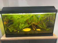 Juwel Aquarium 57l Bayern - Gablingen Vorschau