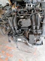 VW Motor AUD 1.4 44 KW komplett mit Agregaten Schleswig-Holstein - Koberg Vorschau