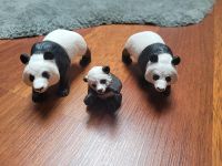 Schleich Panda Familie Mecklenburg-Vorpommern - Greifswald Vorschau