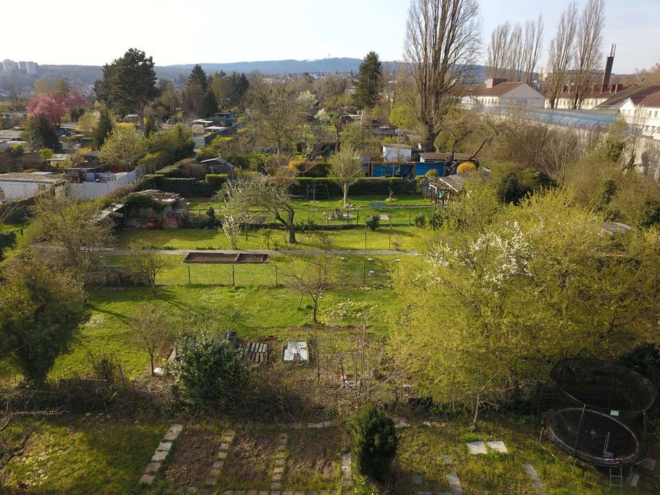 Grundstück mit Kleingärten im Stadtgebiet von Wiesbaden - verpachtet in Wiesbaden