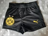 Kurze Hose Gr.74 BVB Puma Mülheim - Köln Holweide Vorschau