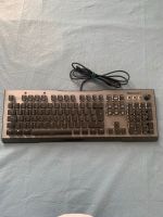 Roccat Vulcan 100 Gaming Tastatur Schleswig-Holstein - Norderstedt Vorschau